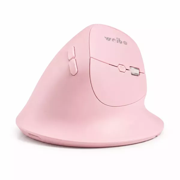 Mouse Vertical Ergonómico Inalámbrico Bluetooth 5.0 2.4g Wb-888 WR